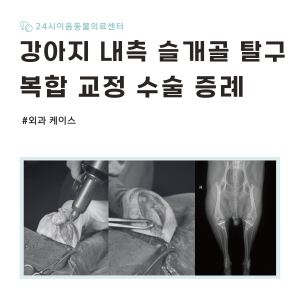 [케이스 리포트] 내측 슬개골 탈구 증례: 복합 교정술 기반 치료 사례