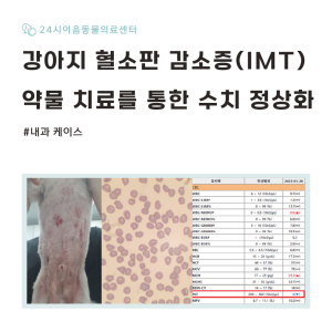 [케이스 리포트] 강아지 혈소판 감소증(IMT): 면역매개 질환의 내과적…