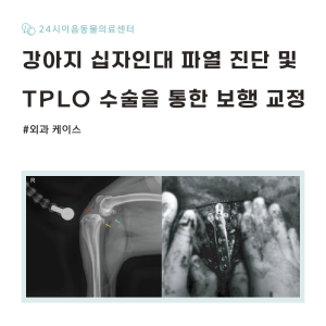[케이스 리포트] 십자인대 파열 증례: TPLO 수술 적용 사례