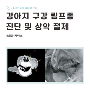[케이스 리포트] 강아지 구강 림프종 진단 및 상악 절제술