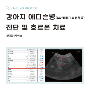 [케이스 리포트] 강아지 에디슨병(부신피질기능저하증): 진단 및 호르몬 …