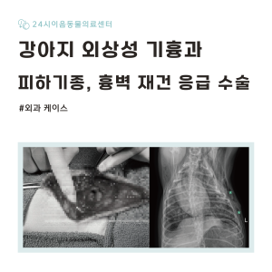 [케이스 리포트] 강아지 외상성 기흉 및 피하기종: 흉벽 재건 응급 수술