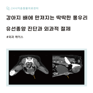 [케이스 리포트] 복부 종괴를 형성한 유선종양 증례: 중성화 병행 유선 …