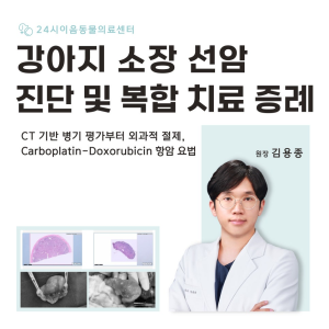 [케이스리포트] 강아지 소장 선암 진단 및 복합 치료 증례: CT 기반 …