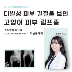 [케이스 리포트] 다발성 피부 결절을 보인 고양이 피부 림프종:조직학적 …