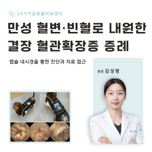 [케이스 리포트] 만성 혈변·빈혈로 내원한 결장 혈관확장증 증례: 캡슐내…
