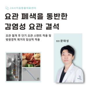 [케이스 리포트] 요관 폐색을 동반한 감염성 요관 결석: 요관 절개 후 …
