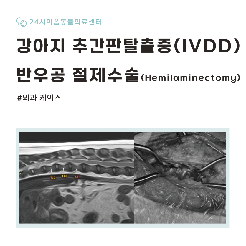 8bf03cdf77b6149d82a83581003b7ff0_1776069180_5604.png