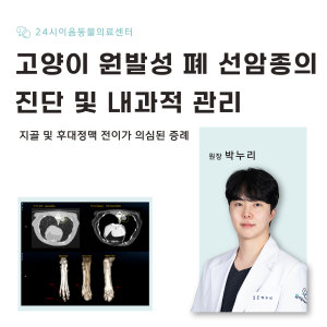 [케이스 리포트] 고양이 원발성 폐 선암종의 진단 및 내과적 관리: 지골…